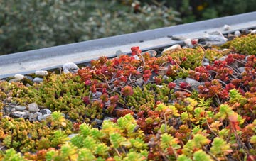 the cost of Bettws Y Crwyn green roof installation